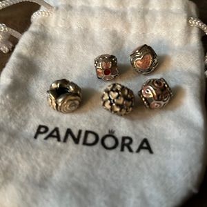 Pandora (retired) charms